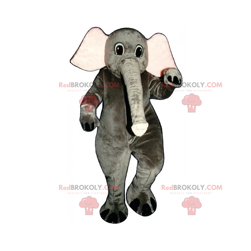 Elefantenmaskottchen mit langem Stamm - Redbrokoly.com