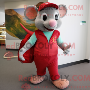 Disfraz de mascota del...