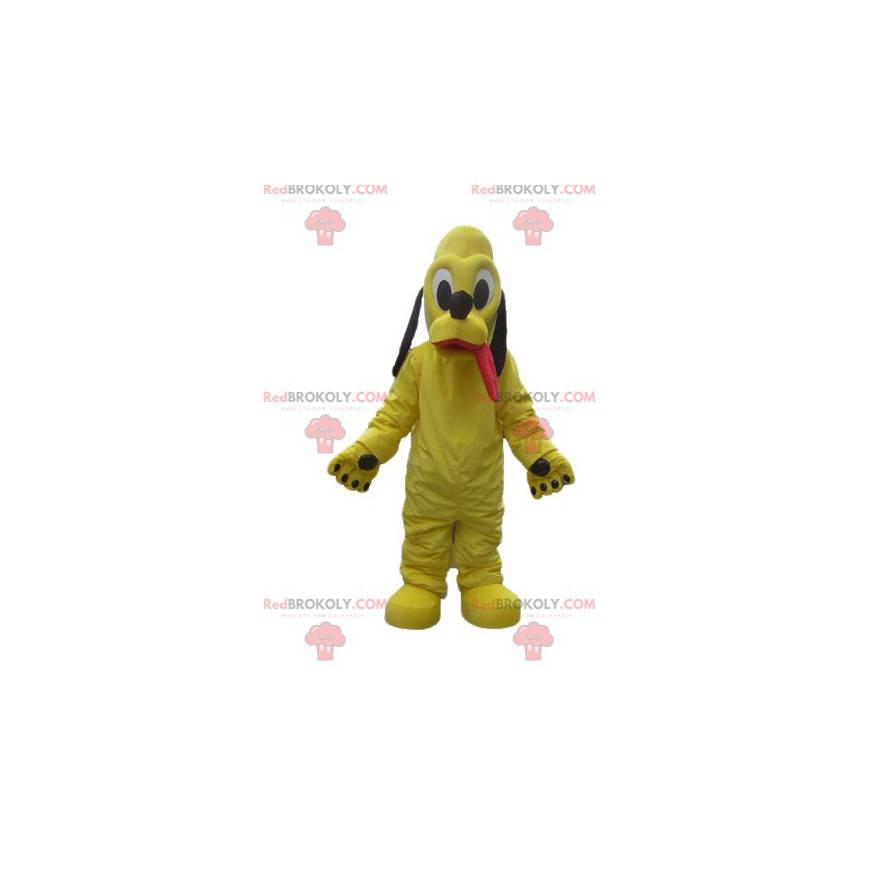 Mascot yellow dog Pluto famous companion of Mickey -