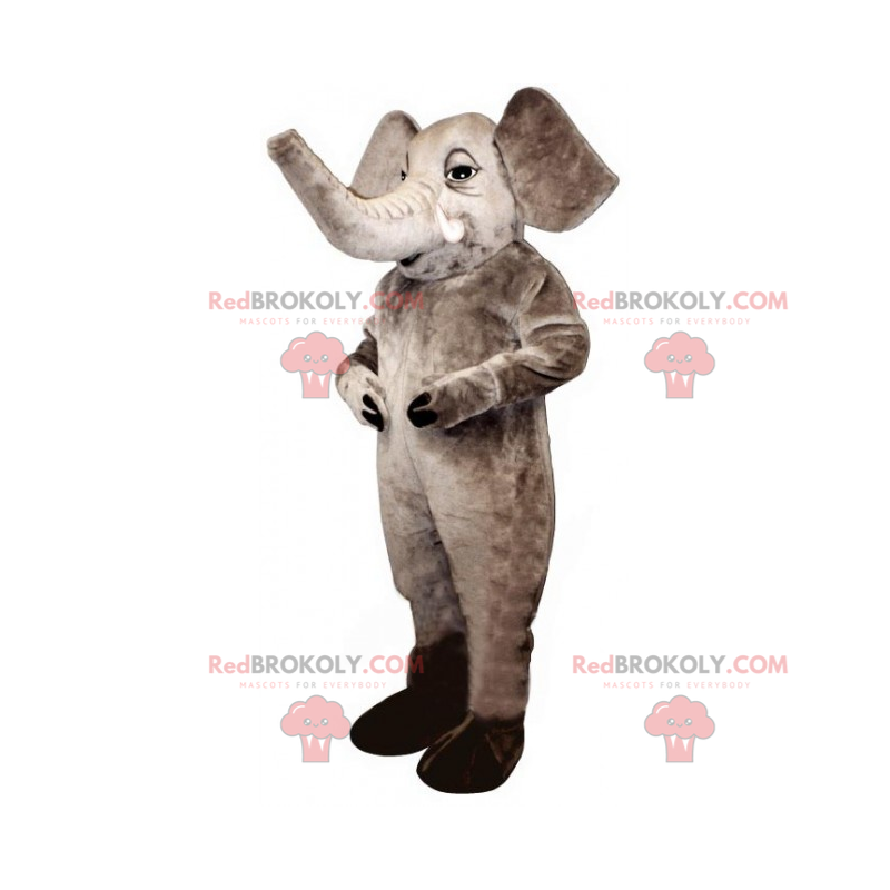 Gray elephant mascot - Redbrokoly.com