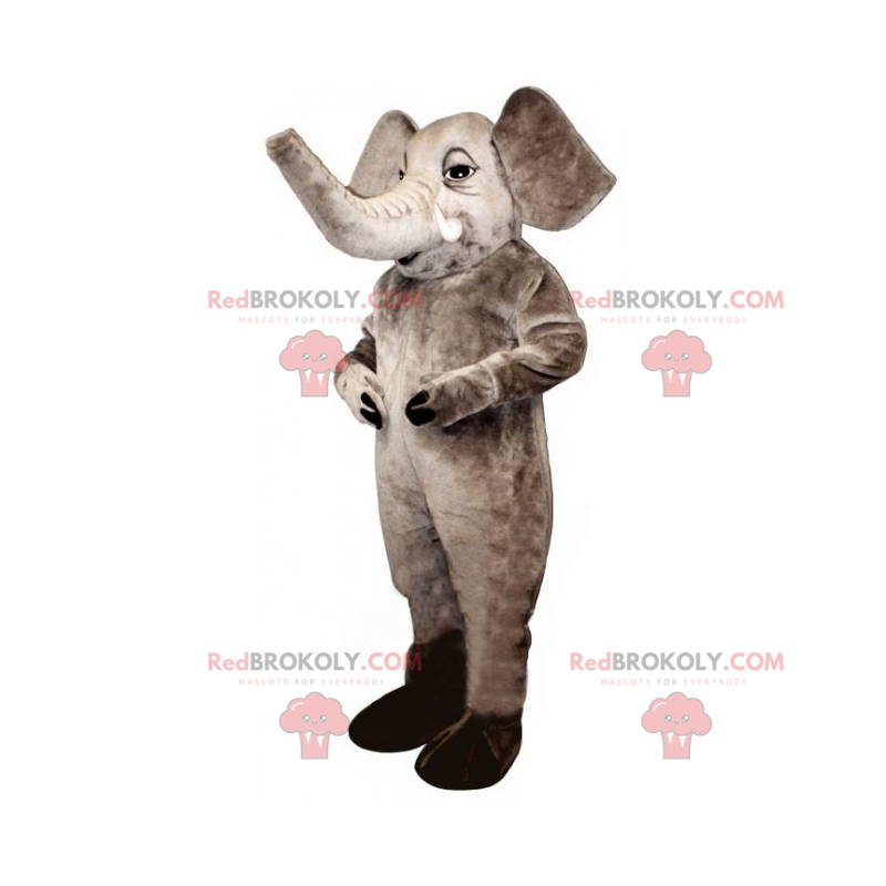 Grijze olifant mascotte - Redbrokoly.com