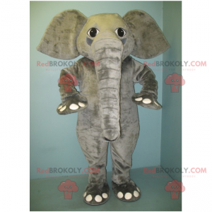 Gray elephant mascot - Redbrokoly.com