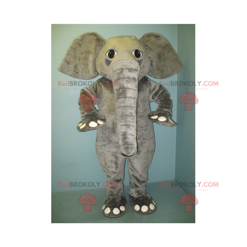 Grå elefant maskot - Redbrokoly.com