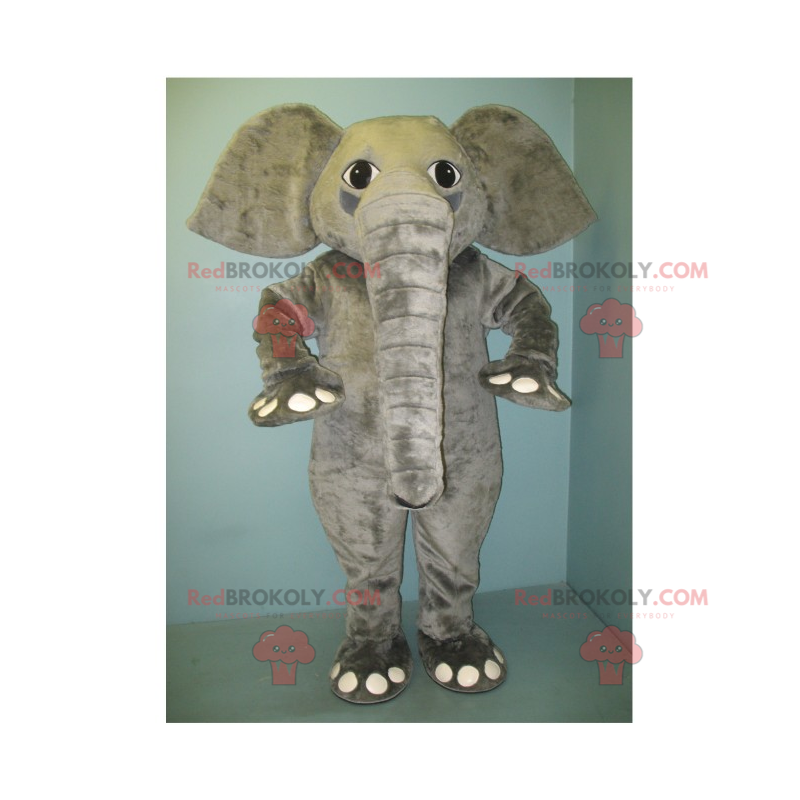 Grå elefantmaskot - Redbrokoly.com