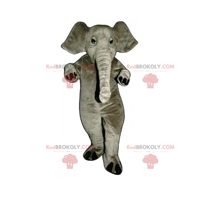 Grå elefant maskot - Redbrokoly.com