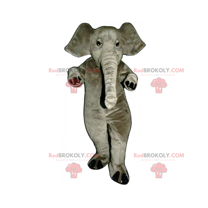 Mascotte d'éléphant gris - Redbrokoly.com