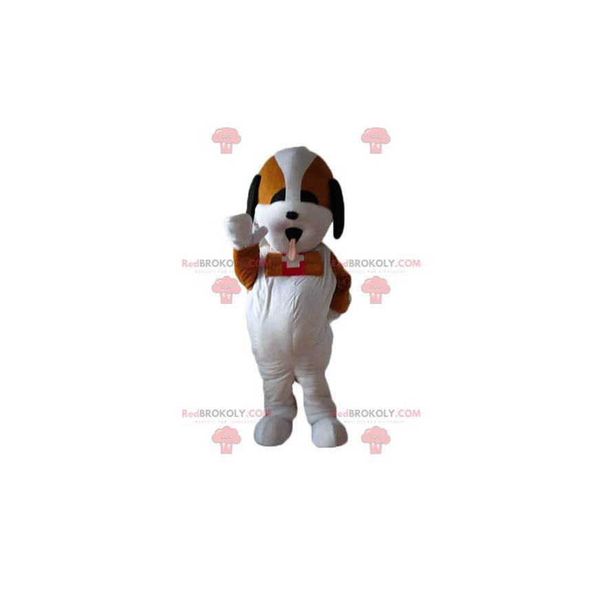Cão de resgate tricolor mascote de Saint-Bernard -
