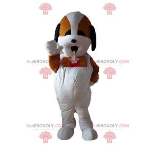 Cão de resgate tricolor mascote de Saint-Bernard -