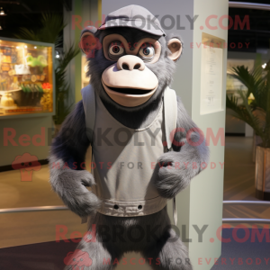 Grijze chimpansee...