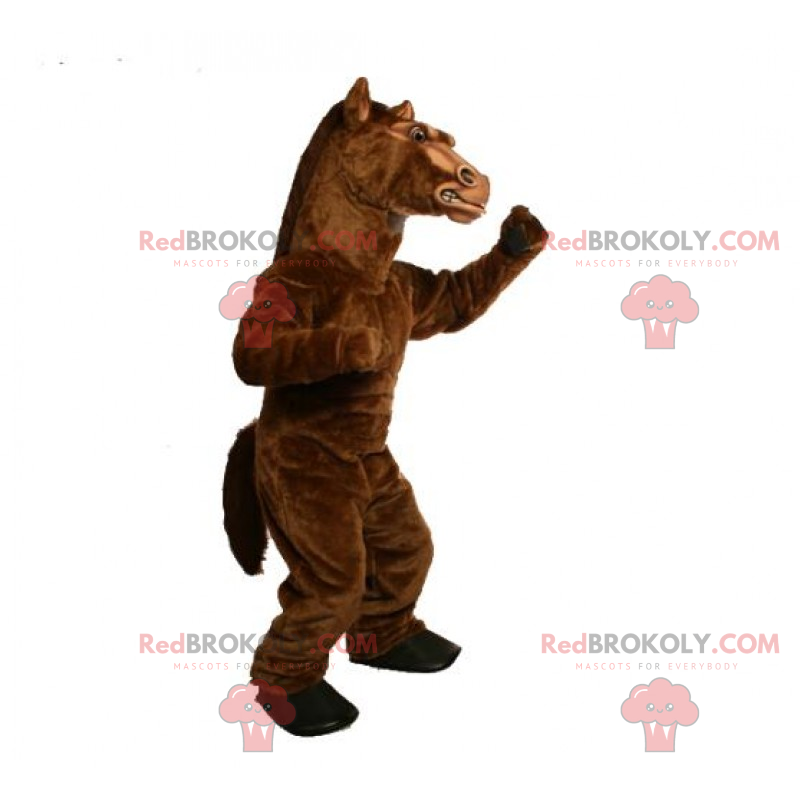 Mascota semental - Redbrokoly.com