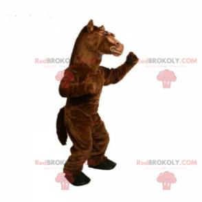 Hingstmaskott - Redbrokoly.com