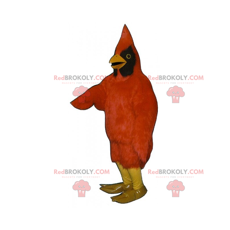 Bird mascot - Red cardinal - Redbrokoly.com
