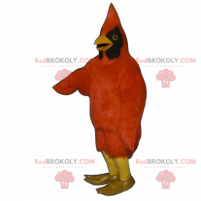 Bird mascot - Red cardinal - Redbrokoly.com