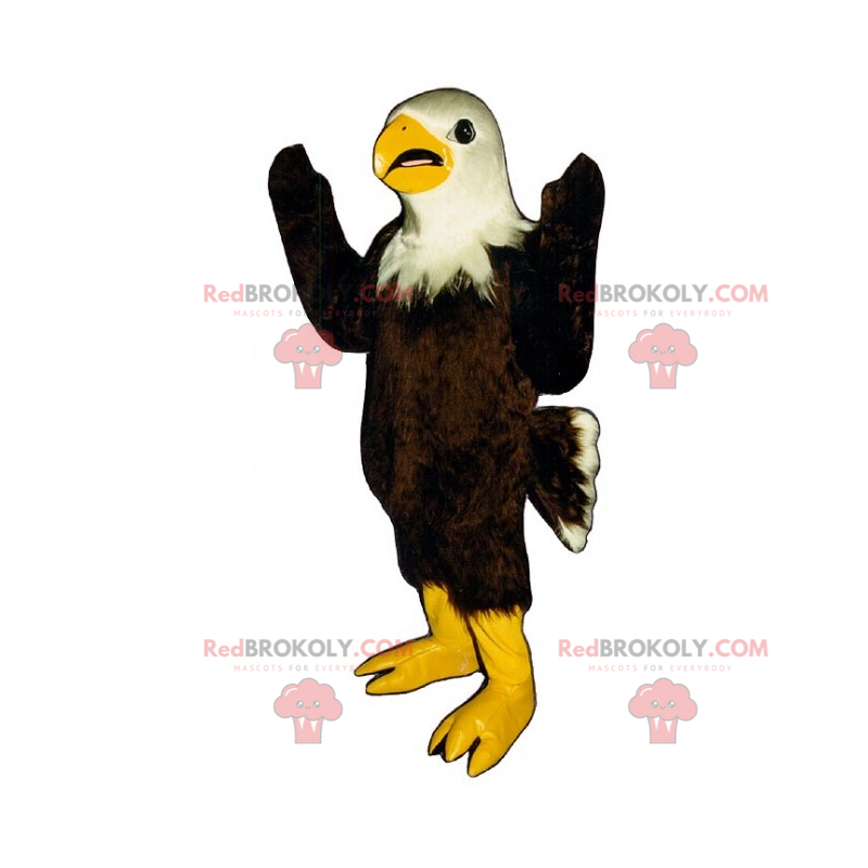 Mascote pássaro - águia americana - Redbrokoly.com