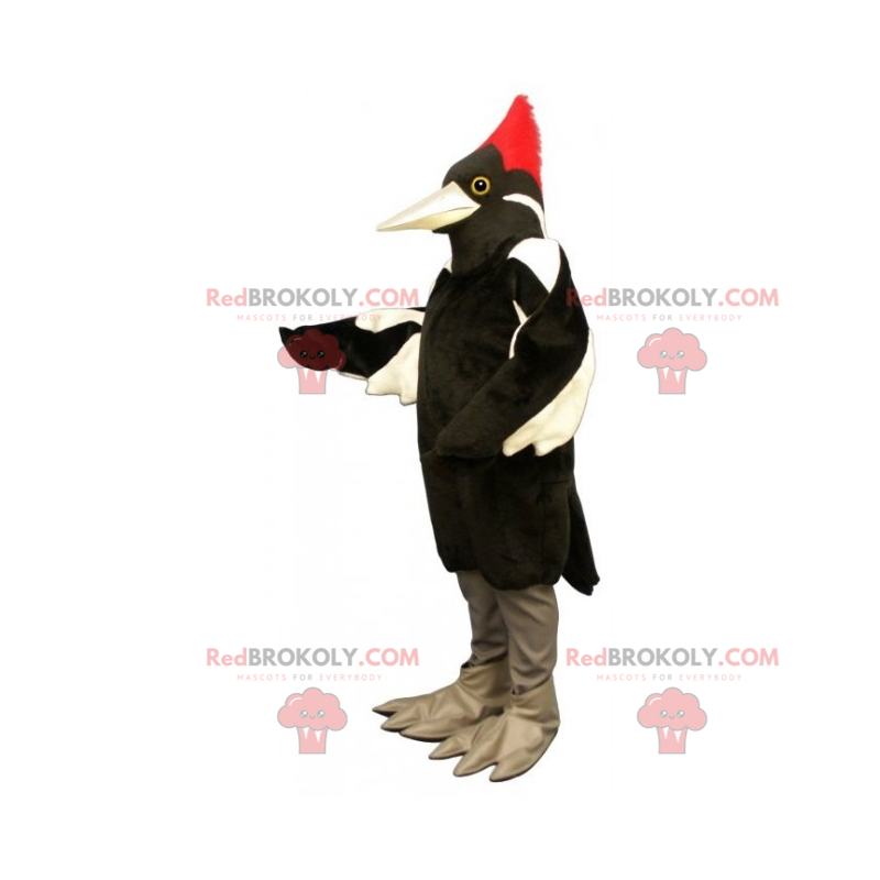 Crested bird mascot - Redbrokoly.com