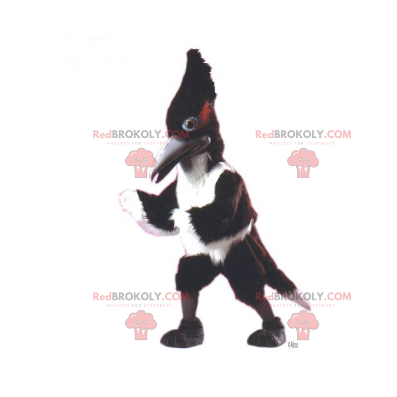 Mascote pássaro de crista longa - Redbrokoly.com Mascote pássaro de crista longa - Redbrokoly.com