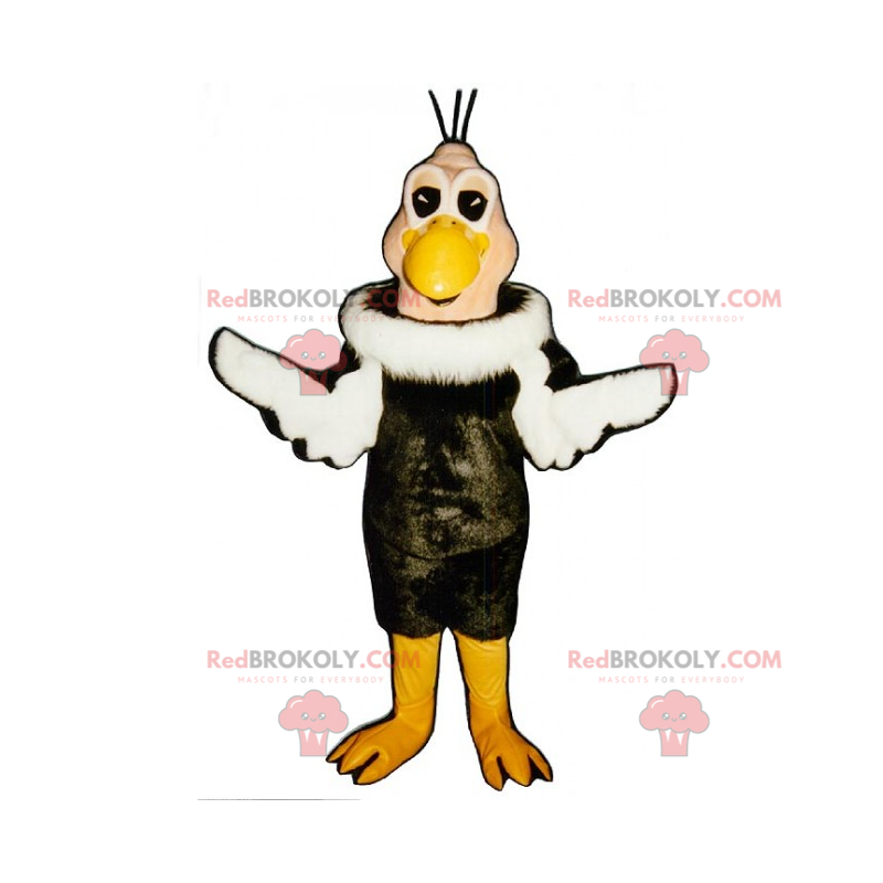 Mascote pássaro com casaco bicolor - Redbrokoly.com
