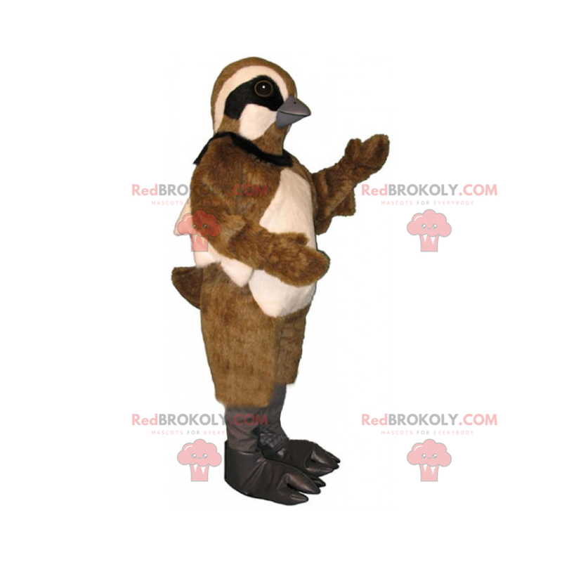 Mascote do pardal com plumagem bicolor - Redbrokoly.com