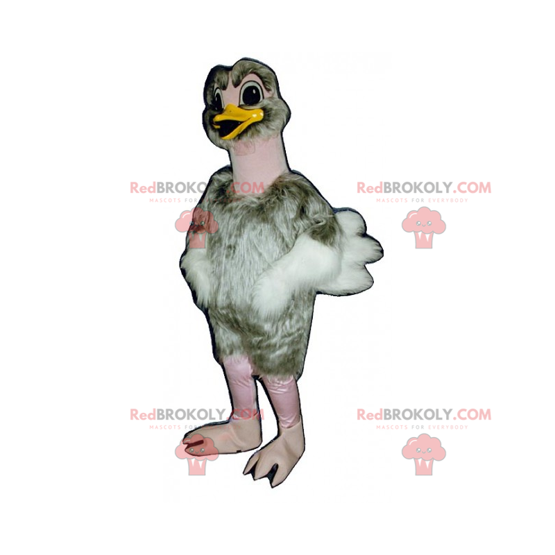 White and gray ostrich mascot - Redbrokoly.com