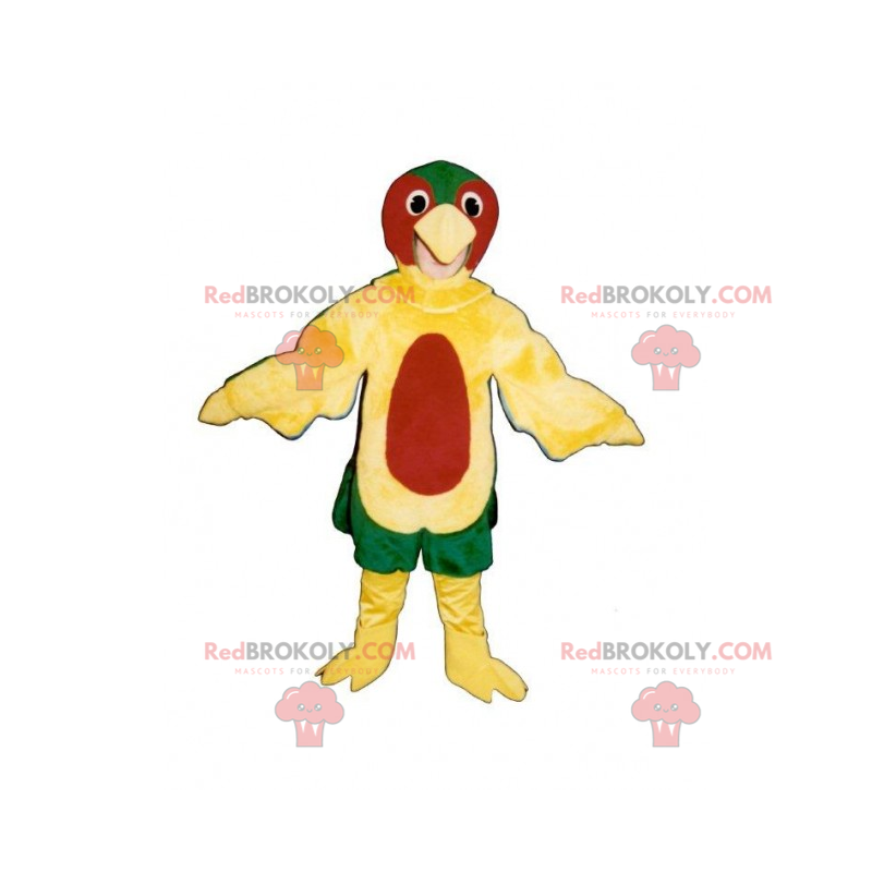 Mascotte d'oiseau multicolore - Redbrokoly.com