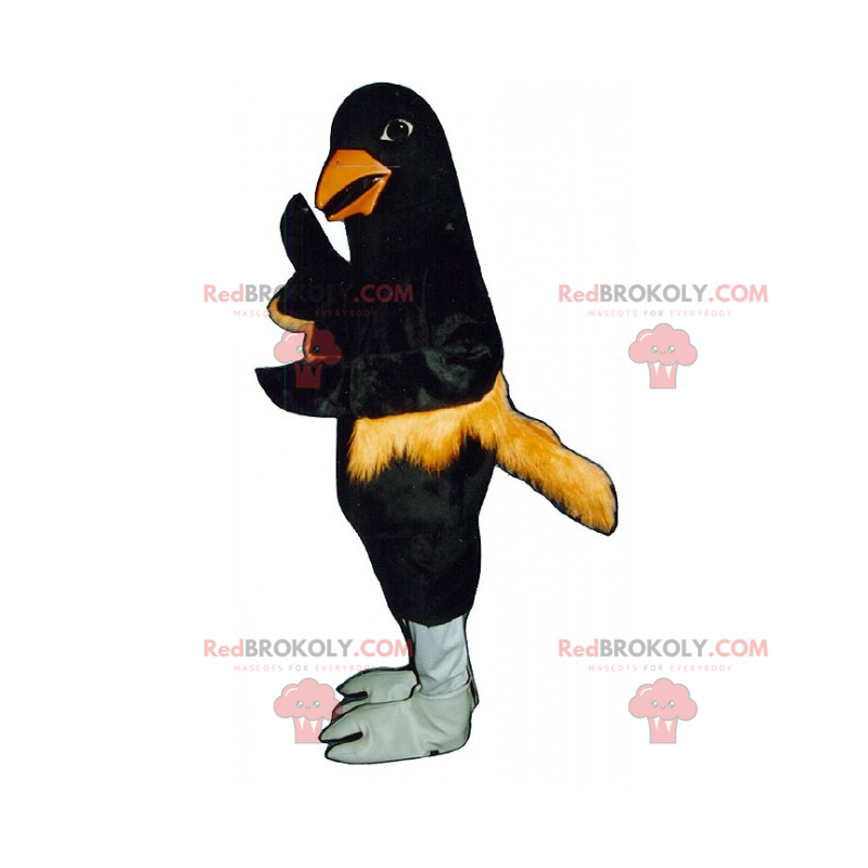Mascote pássaro preto com penas laranja - Redbrokoly.com Mascote pássaro preto com penas laranja - Redbrokoly.com