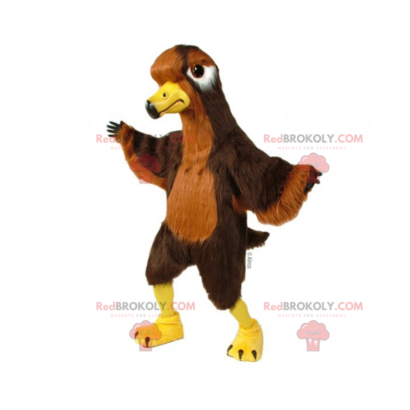 Mascota pájaro marrón y amarillo - Redbrokoly.com Mascota pájaro marrón y amarillo - Redbrokoly.com