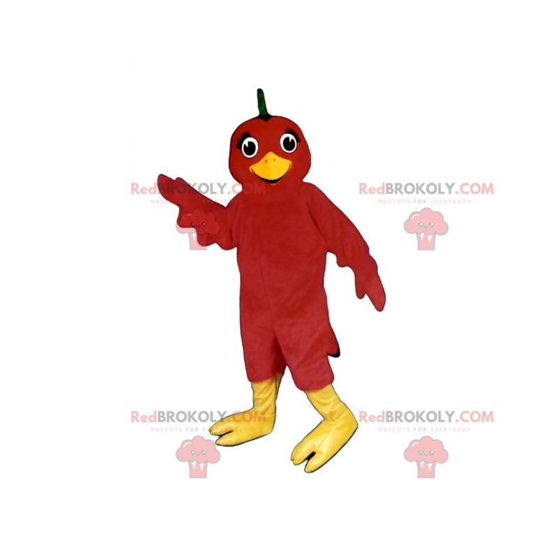 Mascota pájaro rojo - Redbrokoly.com