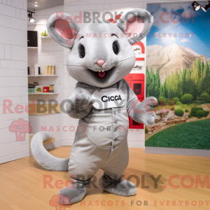 Sølv Chinchilla maskot...