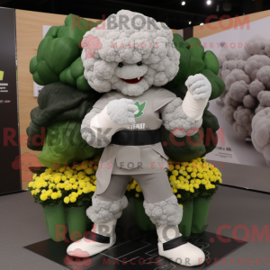Gray Cauliflower mascot...