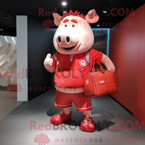 Red Sow mascottekostuum...