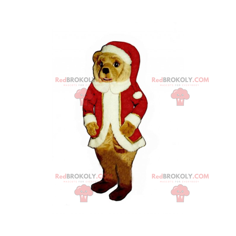 Teddy bear mascot in Santa Claus outfit - Redbrokoly.com