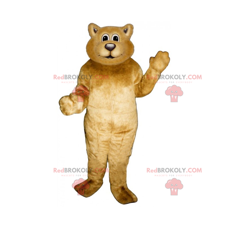 Mascotte d'ourson tout doux - Redbrokoly.com