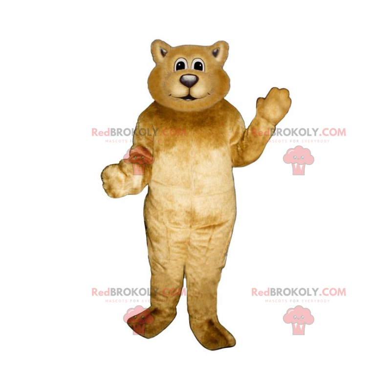 Soft bear mascot - Redbrokoly.com