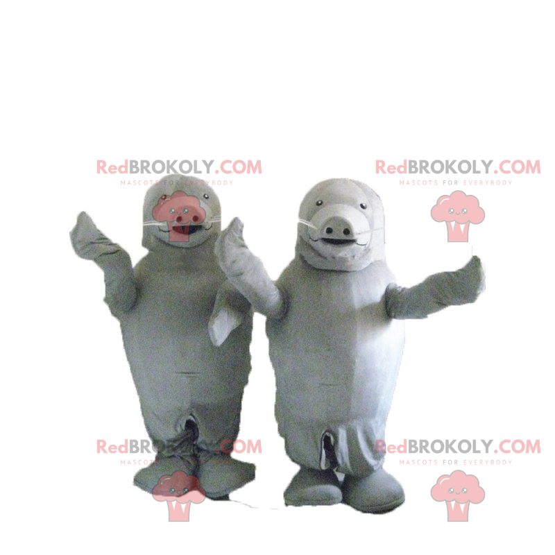 Gray sea lion duo mascot - Redbrokoly.com