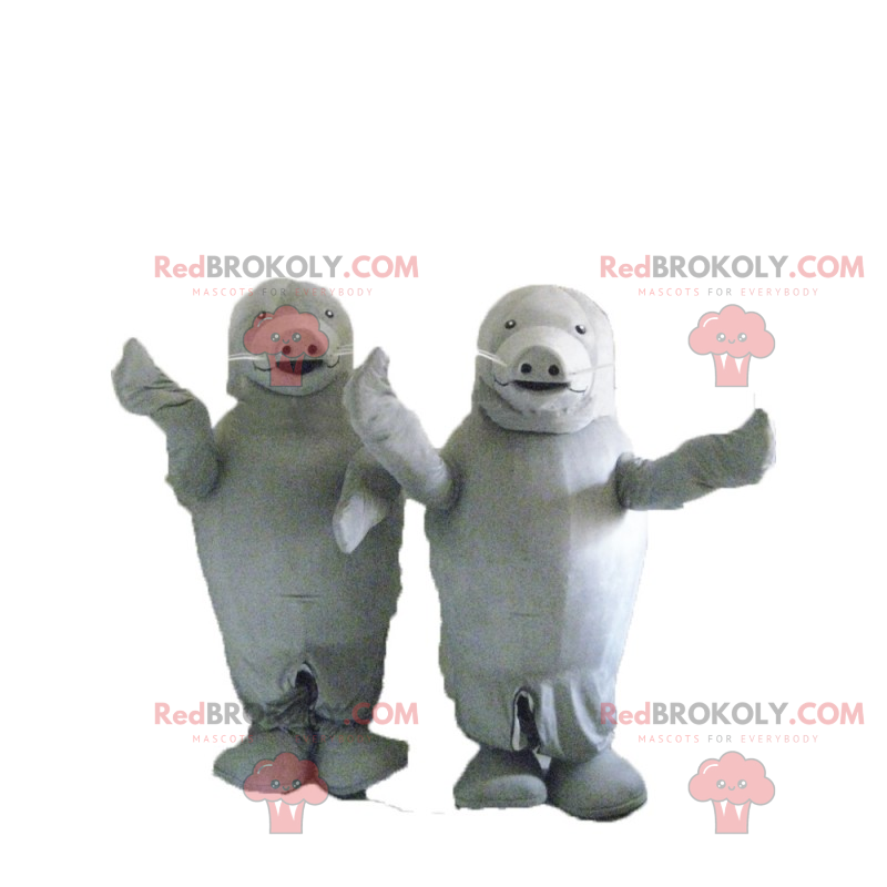 Grå sjölejon duo maskot - Redbrokoly.com