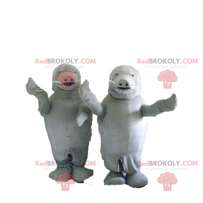 Mascotte duo d'otarie grises - Redbrokoly.com