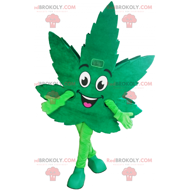Cannabisblatt-Maskottchen - Redbrokoly.com