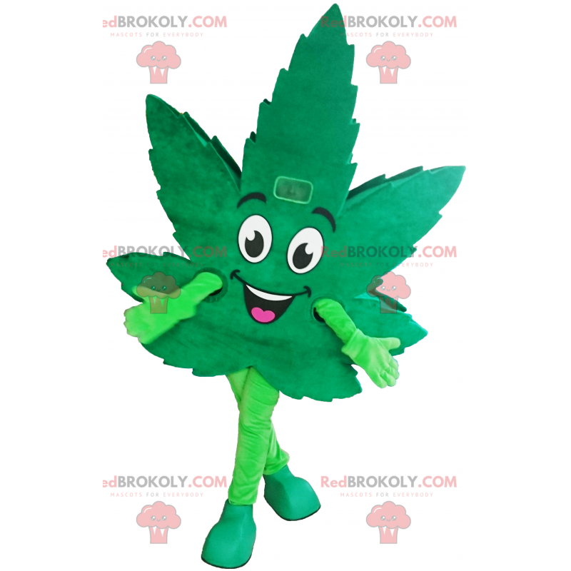 Mascota de la hoja de cannabis - Redbrokoly.com
