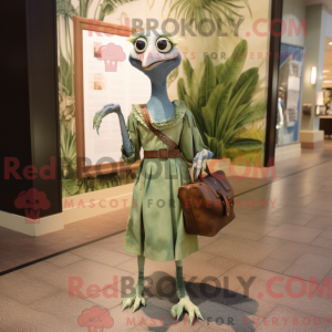 Oliven Dimorphodon...