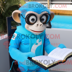 Himmelblå Capuchin Monkey...