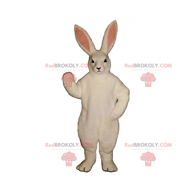 Hvit kanin maskot - Redbrokoly.com