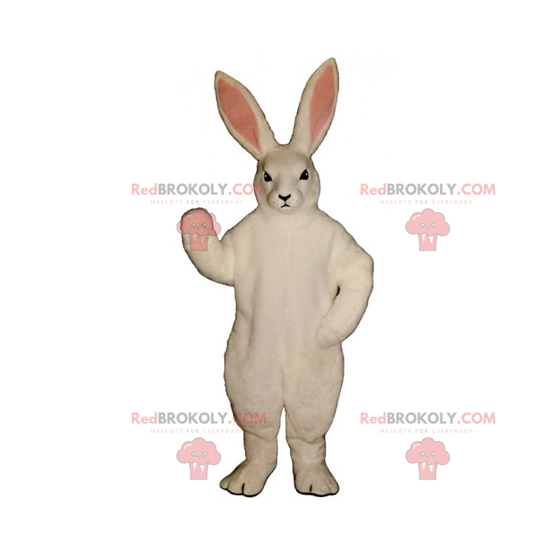 Mascotte di coniglio bianco - Redbrokoly.com