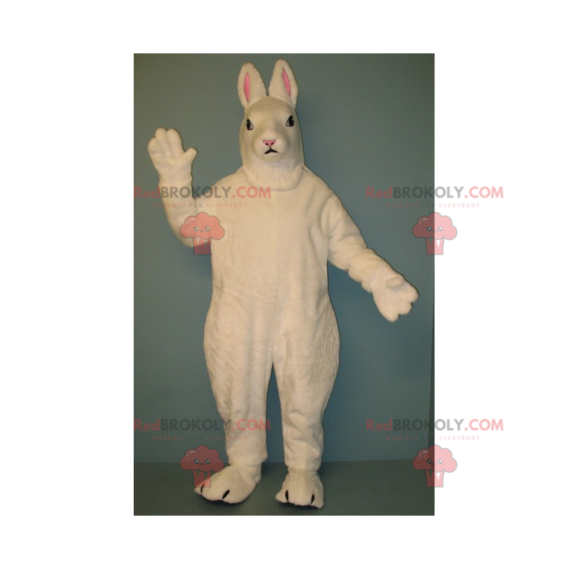 Hvid kanin maskot med små ører - Redbrokoly.com