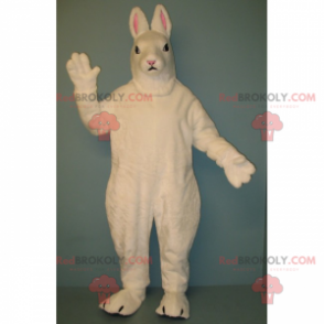 White rabbit mascot with small ears - Redbrokoly.com