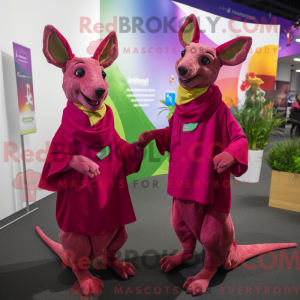 Magenta Kangaroo mascot...