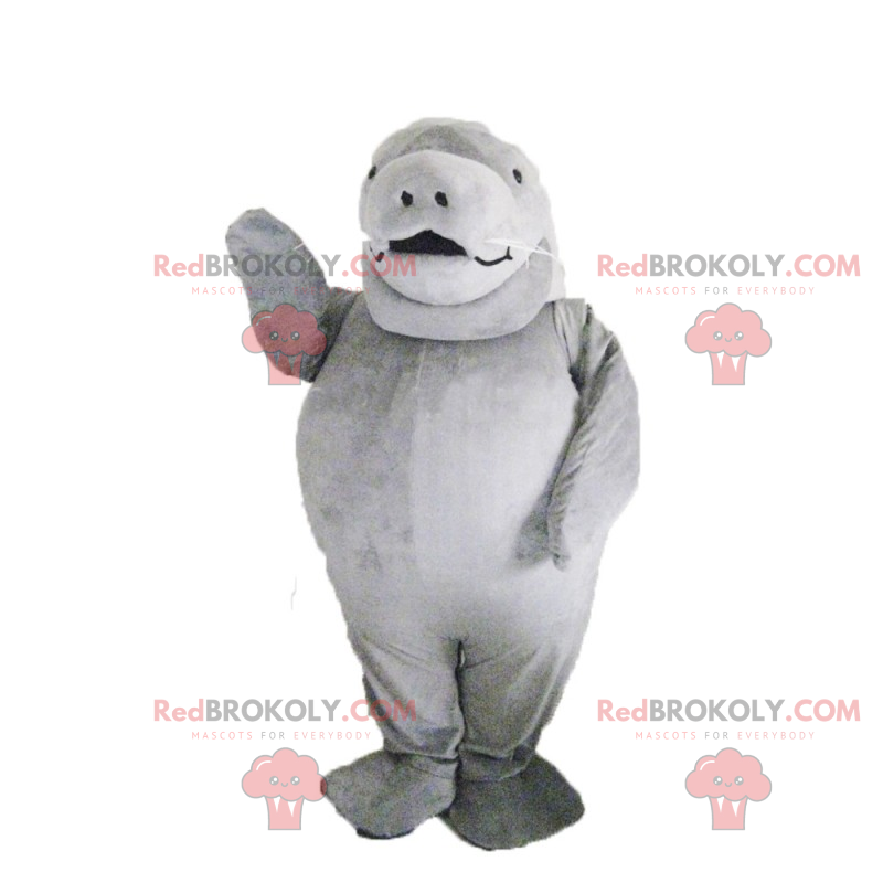 Liten grå sjøløve maskot - Redbrokoly.com Liten grå sjøløve maskot - Redbrokoly.com