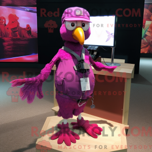 Magenta Pigeon Maskottchen...