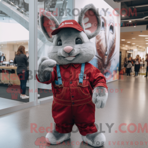 Maroon Chinchilla maskot...
