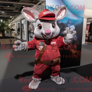 Maroon Chinchilla maskot...