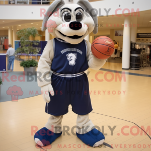 Navy Basketball...